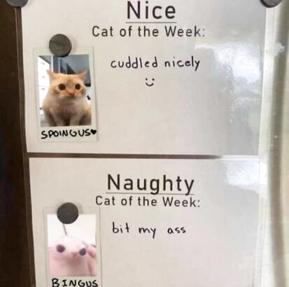 Bitting my ass is a capital offence