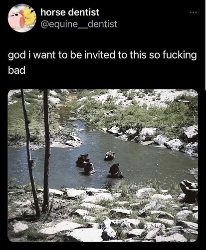 Bear party