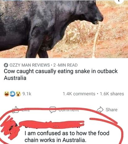 Australian food chain