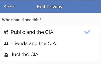 Who gets to see your posts