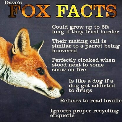 Possibly Real Fox facts