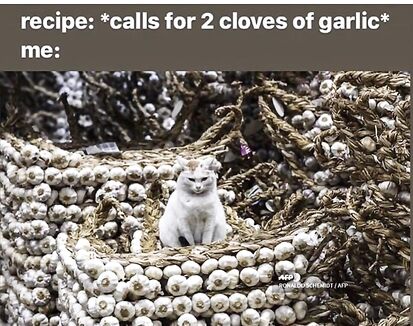 Trust garlic cat