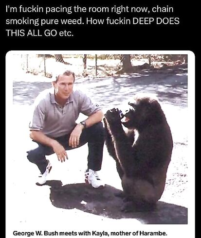 My kind of consipracy theory