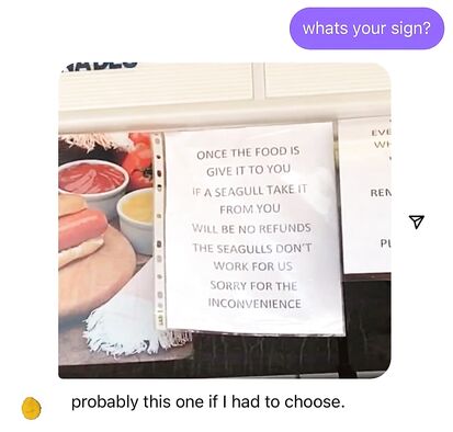 The Seaguls don't work for us