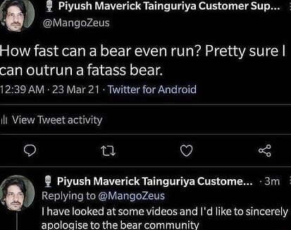 Don't mess with bears