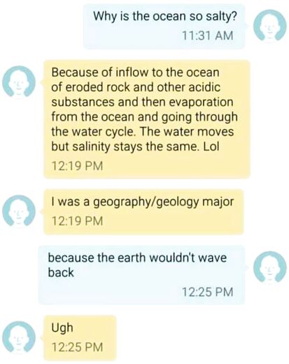 Education is a pun's enemy