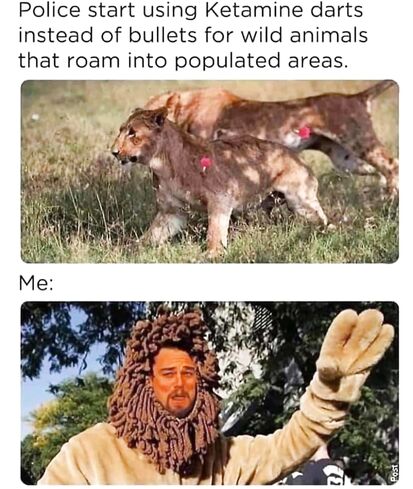 Even free drugs wouldn't make me a furry