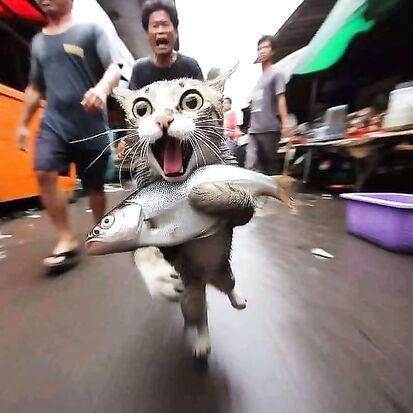 A little thief!