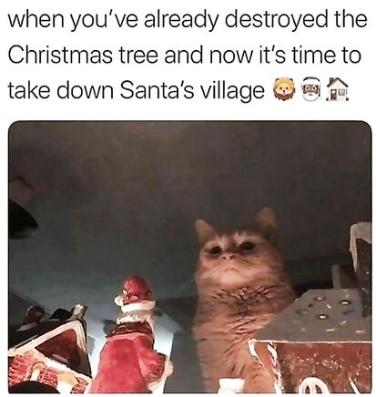 He looks serious