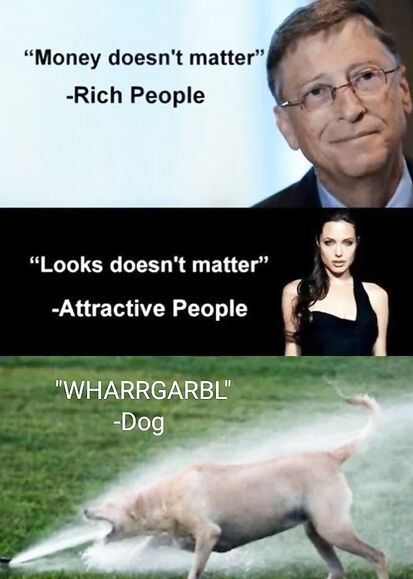 Dog has the most memorable quote