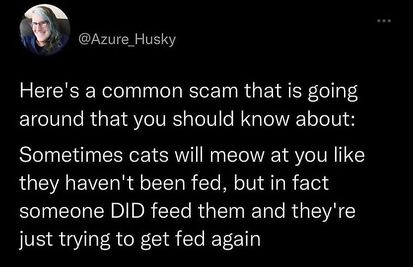 CatSCAM