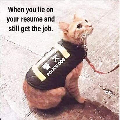 Lies and deceit