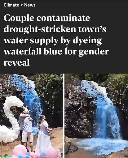 Darwin awards contestants