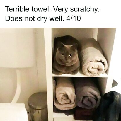 A very uncooperative towel