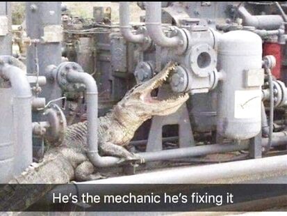 His cousin is an investigator