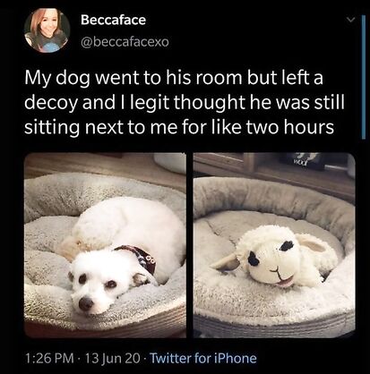 Fooled by this cunning boy