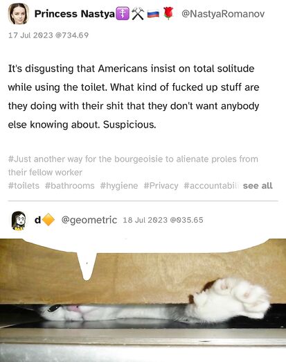 Voicing a cats opinion