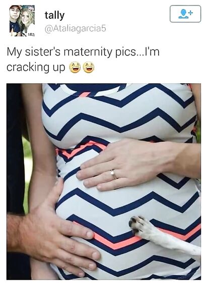 Pets are a part of the famly