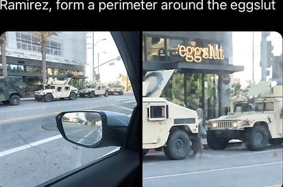 Eggslut needs protection