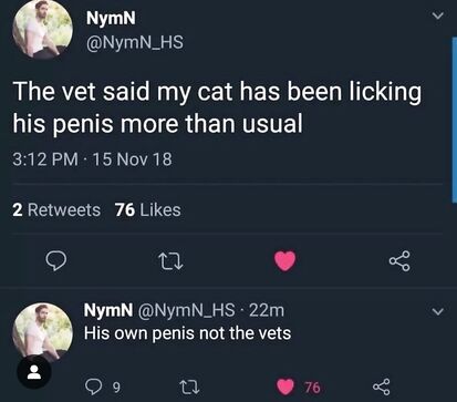 Not the vets penis