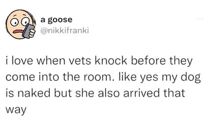 Indecent doggo
