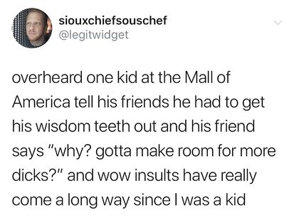 Best insult i've heard