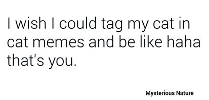 The cat would apreciate it