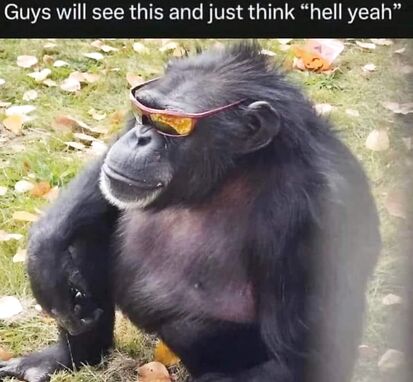 Return to Monke