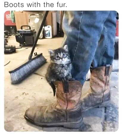 Boots with the fur