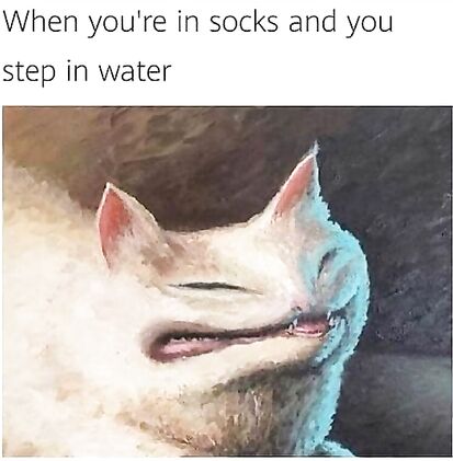 Wet socks the only thing worse then just wearing socks