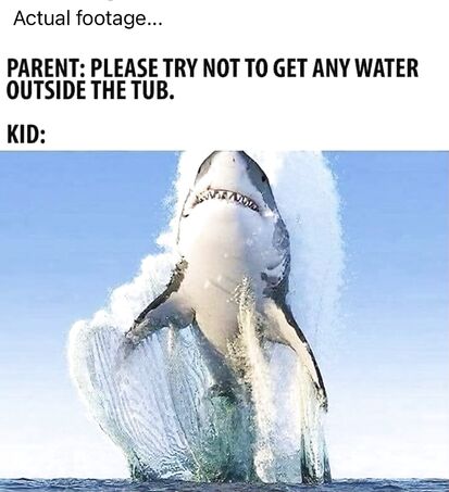 The pros outweigh the cons i'm told