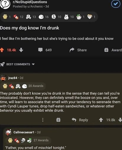 His dog prefers him when drunk