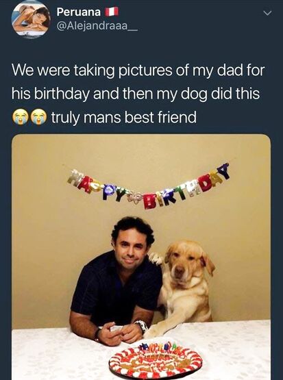 Something wholesome
