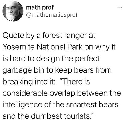 Bears are smart